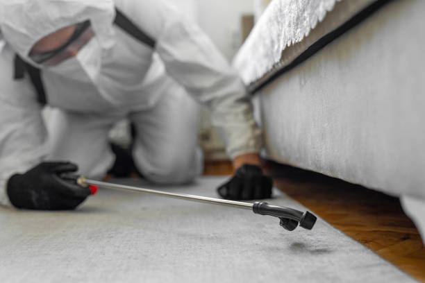 Professional Bed Bug Control technician working in Coweta County County, GA